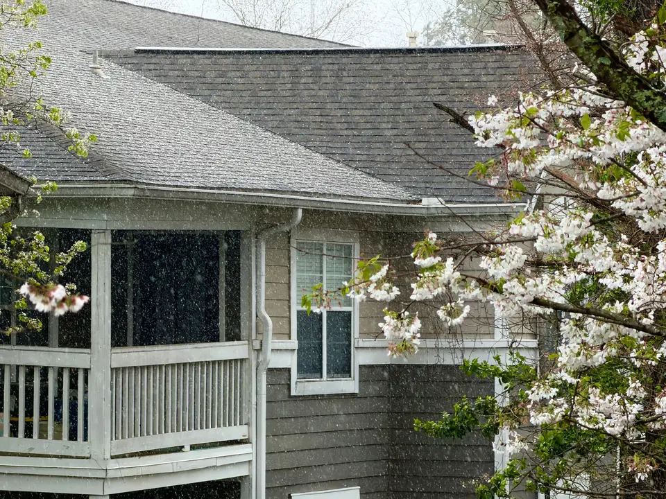 mold removal South Highpoint