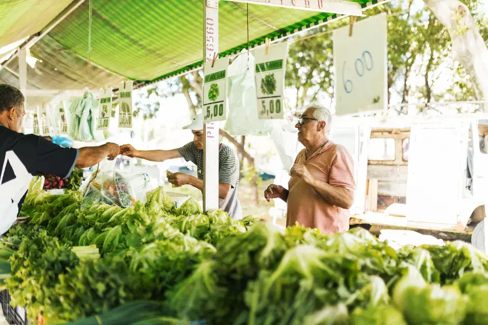Explore Beautiful Tierra Verde, FL in Tierra Verde